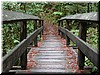 One of the many bridges connecting the trails.