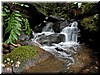 Plenty of water filled the abundant creeks.