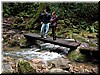 The bridge just prior to reaching Berry Creek Fall.