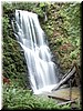 Berry Creek Fall - lots and lots of water today.