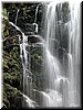 Berry Creek Fall - trickles on the sides of the fall