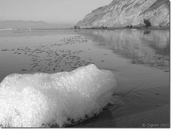DSCN10254.JPG