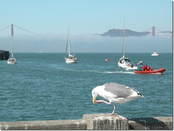 DSCN2601.JPG