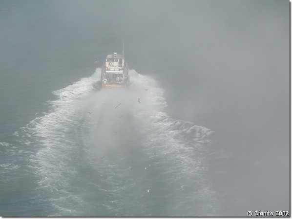 DSCN2683.JPG