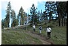300 ft above the visitor center, Monument trail splits into Hobbs Road and a side-trail to ponderosa pines.