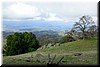 A view of the Morgan Hill vallye (looking west, north-west)