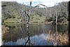 Frog Lake - as full as I've ever seen it!