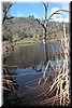 Frog Lake