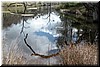 Skipping stones on Frog Lake