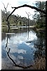 Reflections in Frog Lake