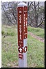 We had just come from 'Fish Trail' and then will head towards Povery Flats on the Middle Ridge trail