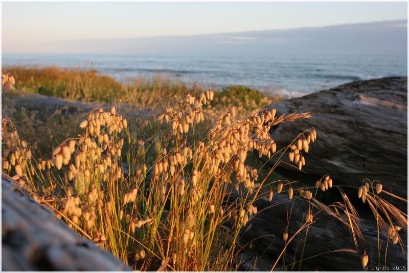 lostcoast_199.jpg