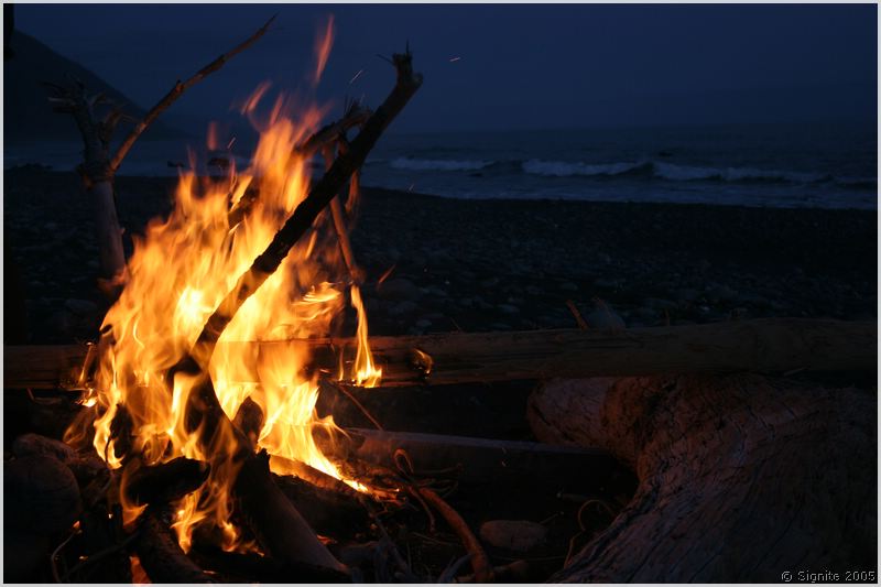 lostcoast_218.jpg
