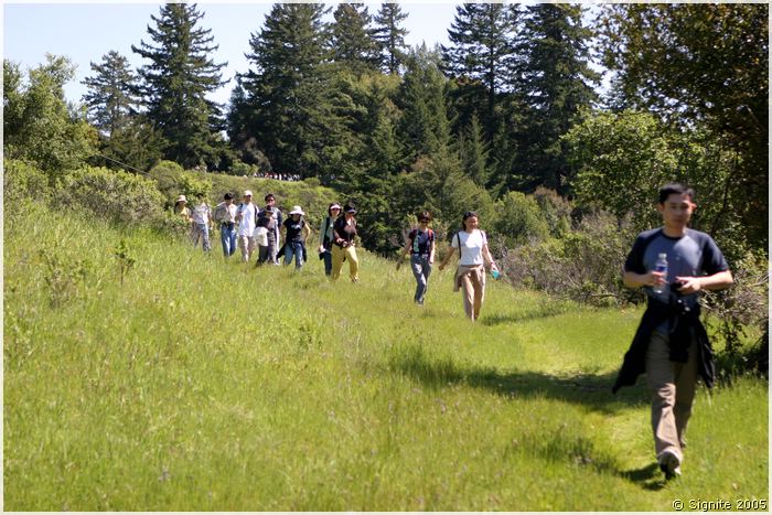 portola_092.jpg