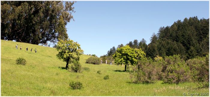 portola_108.jpg