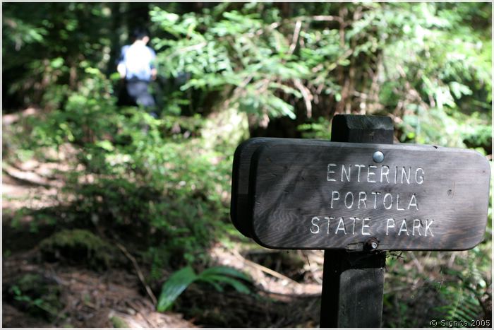 portola_161.jpg