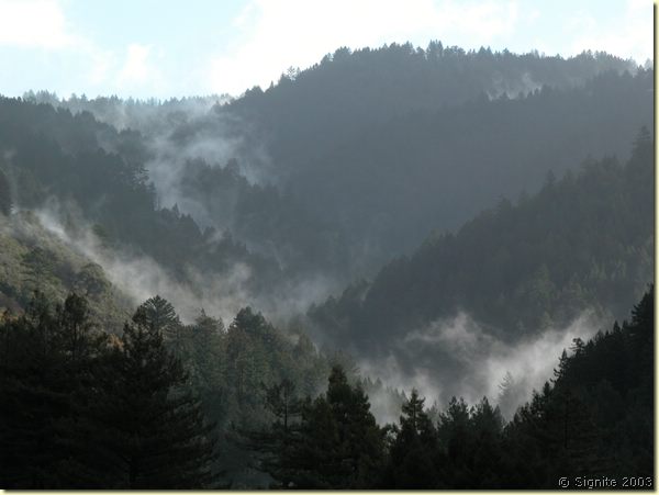 DSCN9724.JPG