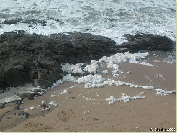 DSCN9799.JPG