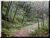 The road less traveled...