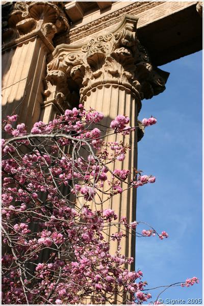 20050402_292.jpg