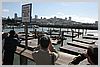 Pier 39, Fisherman's Wharf. Sea Lions (wild, not caged)