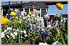 Pier 39, Fisherman's Wharf.