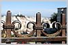 Russian Hill - Lombard Street - 'Flower Street'?