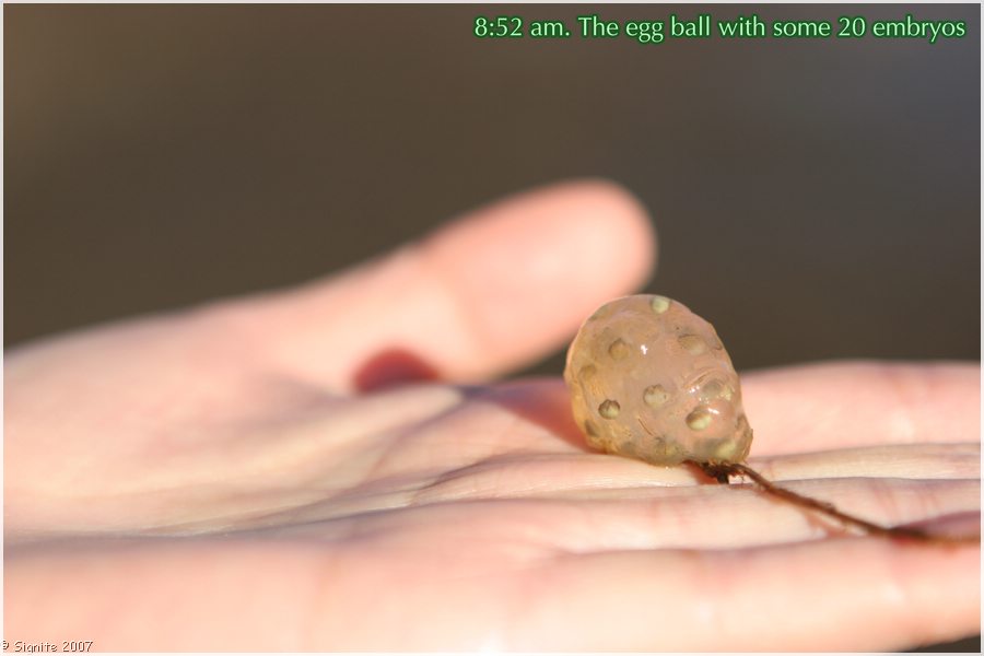 Click to view next image