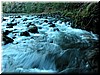 Portola creek - still plenty of water from the winter rains.