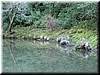 Reflections on the calm waters remind us to reflect and be at peace.