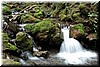 Purisima Creek - a small waterfall (about 3 ft tall)