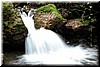 Purisima Creek - a small waterfall (about 3 ft tall)