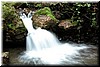 Purisima Creek - a small waterfall (about 3 ft tall)
