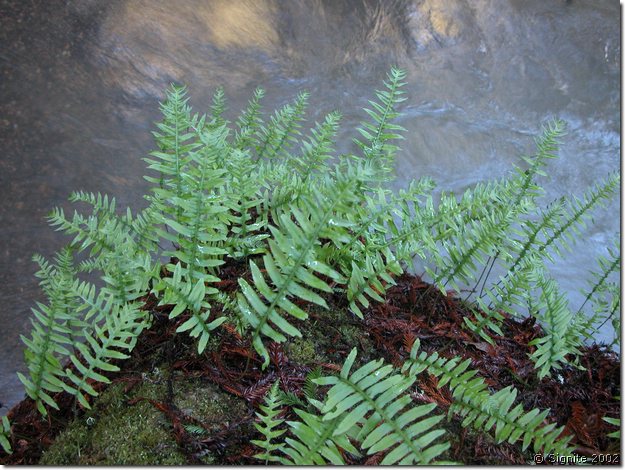 DSCN9398.JPG