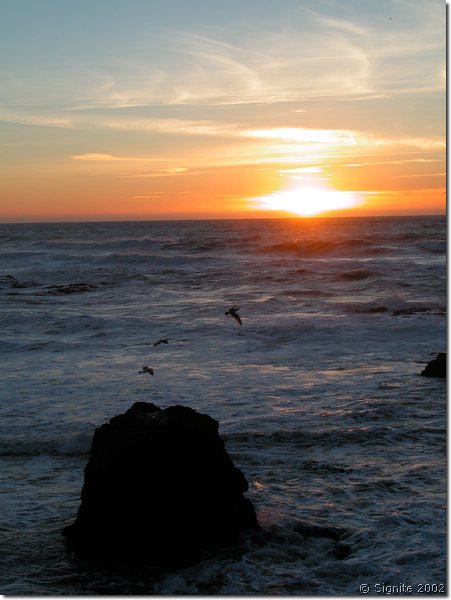 DSCN9509.JPG