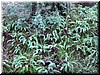 DSCN9396.JPG