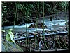 DSCN9402.JPG