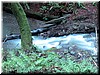 DSCN9405.JPG