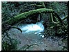 DSCN9408.JPG
