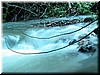 DSCN9410.JPG