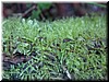 DSCN9413.JPG