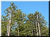 DSCN9417.JPG