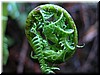 DSCN9420.JPG