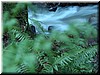 DSCN9434.JPG