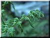DSCN9435.JPG