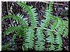 DSCN9436.JPG