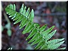 DSCN9438.JPG