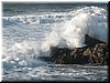 DSCN9446.JPG