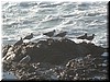 DSCN9451.JPG