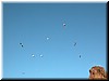 DSCN9460.JPG
